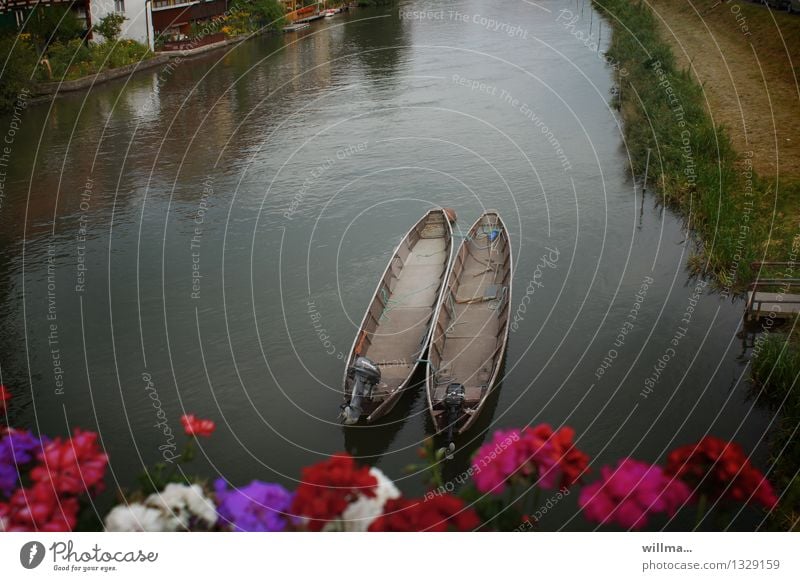 the guest slippers from bamberg Trip Geranium River Regnitz river Bamberg Watercraft Motor barge Vacation & Travel River bank Colour photo Exterior shot