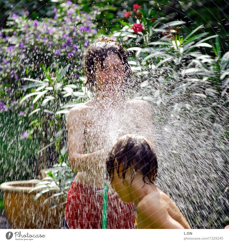 zippy Joy Playing Summer Human being Masculine Child 2 13 - 18 years Youth (Young adults) Water Drops of water Beautiful weather Garden Rutting season Laughter