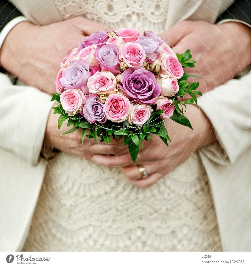 in love engaged married Wedding Human being Masculine Feminine Woman Adults Man Hand 2 30 - 45 years Flower Rose Bouquet Dress Suit Wedding dress Wedding band