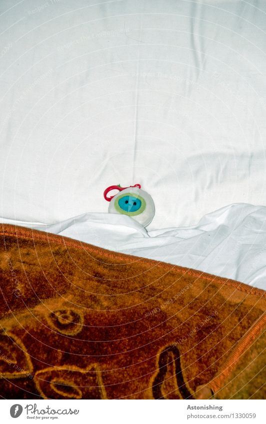 Sleep! Bodo sleep! Room Bedroom 1 Animal Lie Small Blue Brown White Extraterrestrial being Keyring Cuddly toy Morocco Blanket Looking Head Pattern Bolster