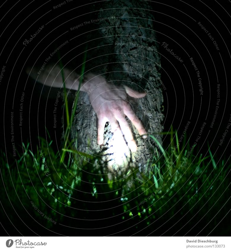 Hand alone in the forest Tree Light Grass Meadow Life Tree bark Night Long exposure Lamp Fingers Transparent Friendship Dark Black Green Creepy Horror film