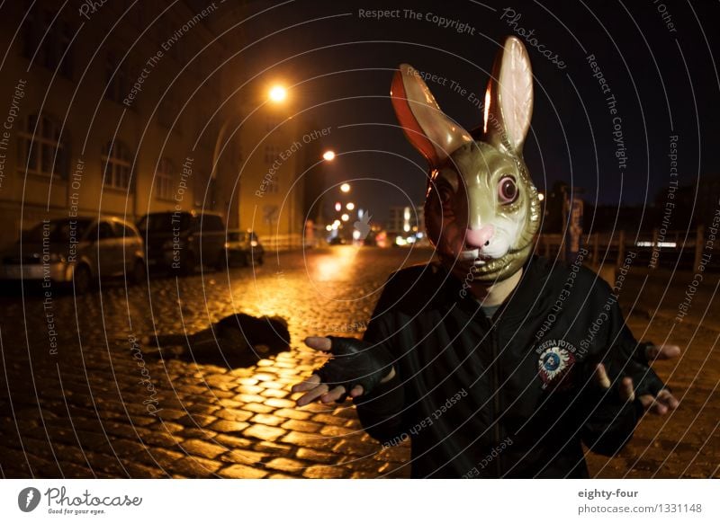 hare killer Human being Masculine Androgynous Young man Youth (Young adults) Man Adults 1 Autumn Winter Rain Town Street Road junction Mask Animal Hunting