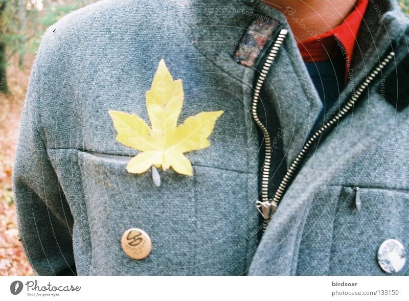 hey, leaf man! I Joy Film industry Autumn Life Breeze Jacket Leaf Dull and trumped through the blustery woods one Gold day.
