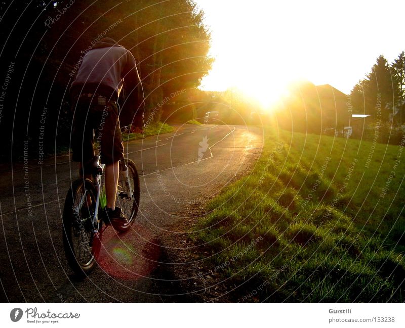 Drive into the evening sun Colour photo Exterior shot Evening Light Sunbeam Playing Cycling Bicycle Nature Sunrise Sunset Summer Beautiful weather Grass Meadow
