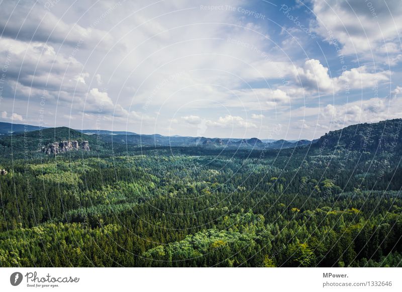 notall (s)schlechtimosten! Environment Nature Landscape Elements Clouds Beautiful weather Tree Infinity Saxon Switzerland Virgin forest Nature reserve Forest