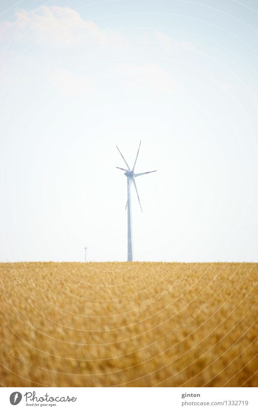 windmill Agriculture Forestry Energy industry Technology Renewable energy Wind energy plant Clouds Field Hot Bright Dry Warmth Industry windmills wind farm