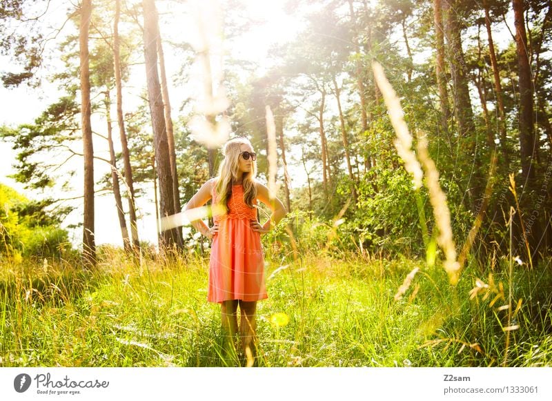 a girl stands in the forest Elegant Trip Summer Feminine Young woman Youth (Young adults) 1 Human being 18 - 30 years Adults Nature Beautiful weather Grass