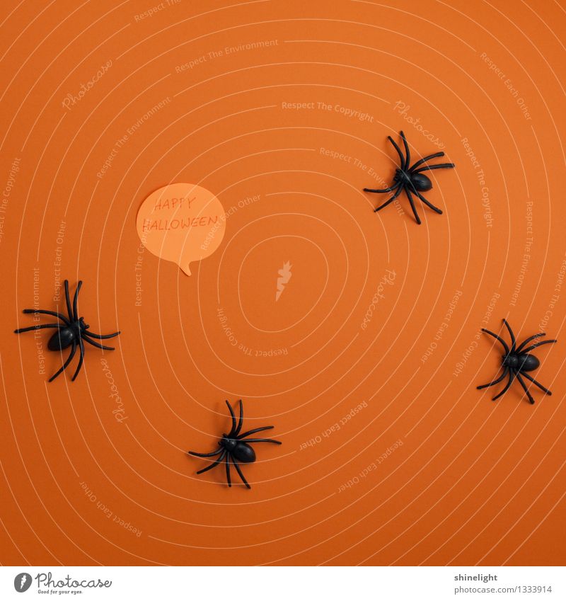 Happy Halloween Event Feasts & Celebrations Hallowe'en Happiness Orange Black Joy Fear Horror Invitation Salutation Card Spider Animal Tradition Creepy