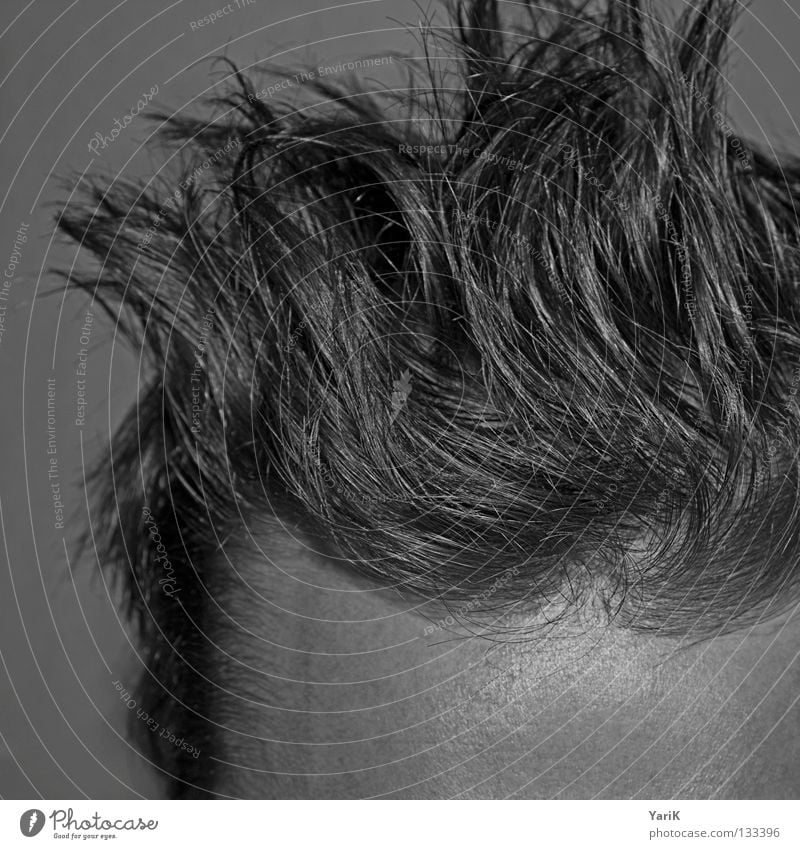 Risen Forehead Hair and hairstyles Cut Haircut Man Gray Thin Muddled Hedgehog Morning Arise Wake up Style Hairline Shampoo Black & white photo Head hairy head