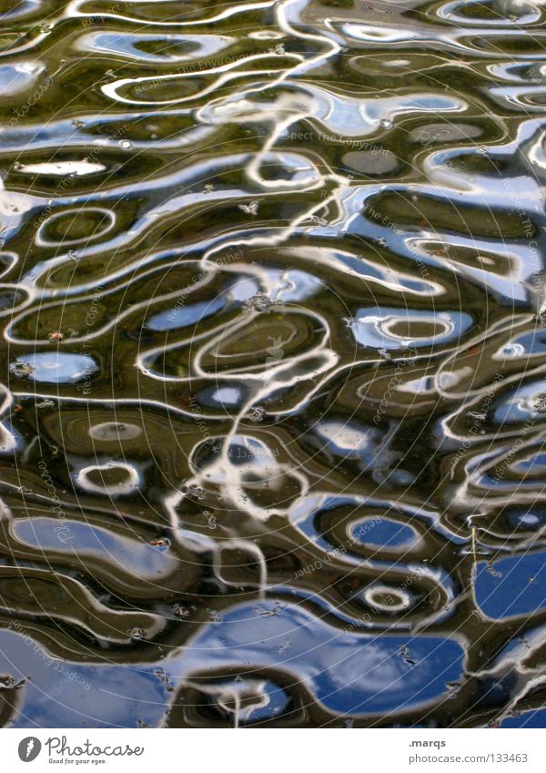 solvent Waves Ocean Lake Pond Wet Fluid Chaos Muddled Liquid Flow Soft Delicate Cold Dream Perturbed Structures and shapes Physics Pattern Circle Oval Mirror