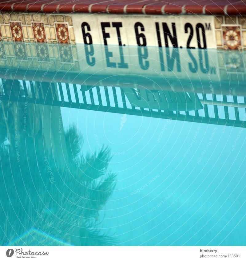 6 feet deep Swimming pool Retro Reflection Palm tree Vacation & Travel Florida Turquoise Americas Detail Playing Tile Old flagging swim dive no diving mirroring