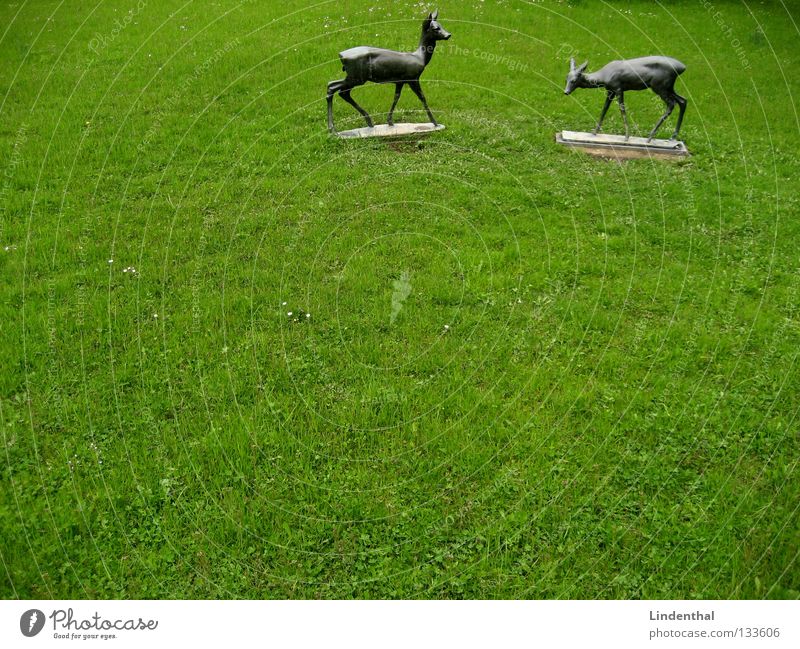 two whole deer Roe deer Bronze Buck Meadow To feed Statue Motionless Mammal Wild animal Metal Rain