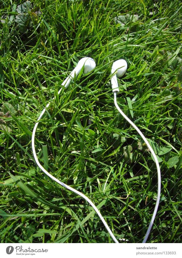Sound of summer Grass Green Headphones Recently Summer Music Park Good mood Joy Garden Lawn earphones finally summer MP3 player