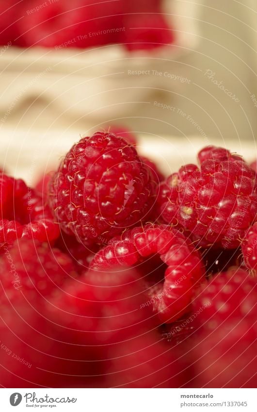 dessert Food Fruit Dessert Raspberry Environment Nature Authentic Simple Fresh Healthy Small Delicious Near Natural Round Juicy Sweet Dry Wild Soft Red