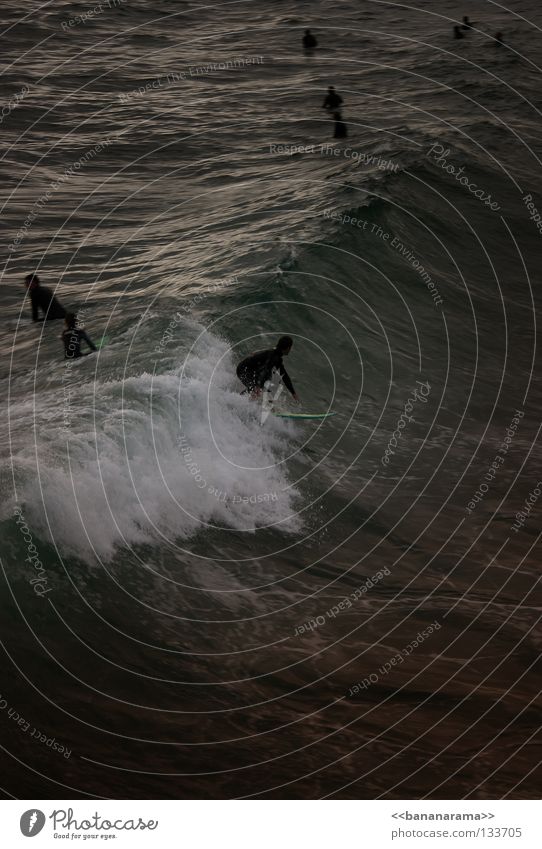 Dangerous surf 3 Surfer Ocean Waves Beach Surfboard Surfing Water Funsport sea Whitewater ride wetsuit wave