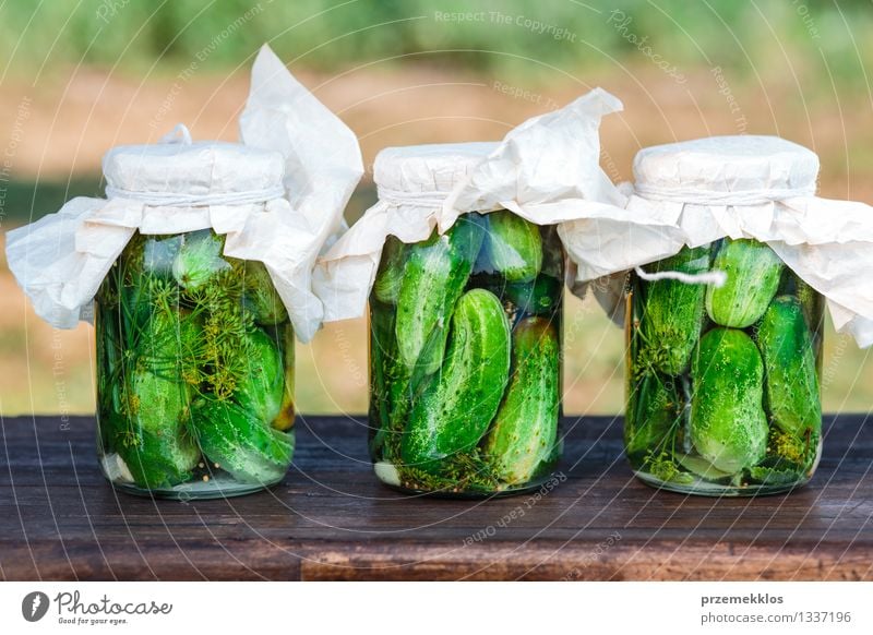 Pickled cucumbers made of home garden vegetables and herbs Vegetable Herbs and spices Organic produce Garden Summer Fresh Natural Green Basket Dill food Garlic