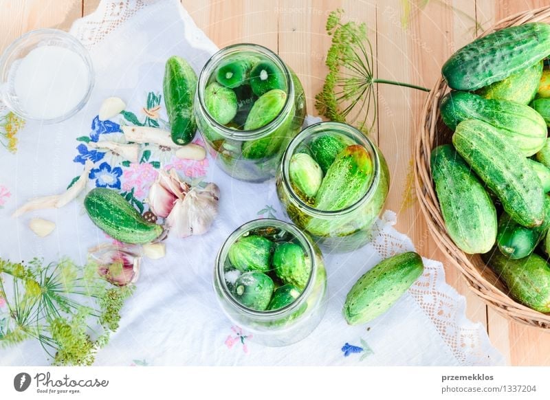 Pickling cucumbers with home garden vegetables and herbs Food Vegetable Herbs and spices Organic produce Garden Summer Fresh Natural Green Basket Dill Garlic