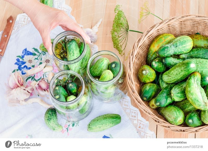 Pickling cucumbers with home garden vegetables and herbs Food Vegetable Herbs and spices Organic produce Garden Woman Adults Hand Summer Fresh Natural Green