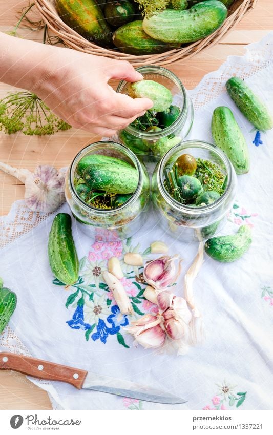Pickling cucumbers with home garden vegetables and herbs Vegetable Herbs and spices Organic produce Garden Woman Adults Hand Summer Fresh Natural Green Basket