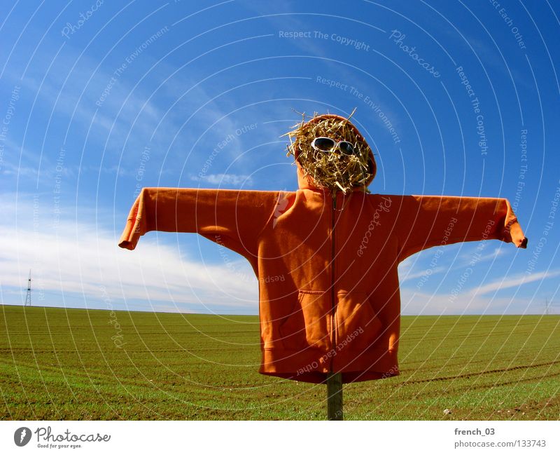 partial orange Scarecrow Hideous Hooded (clothing) Field Sweater Jubilee 100 Straw Sunglasses Clouds Sky Eyeglasses Wood Ghosts & Spectres  Creepy Loneliness