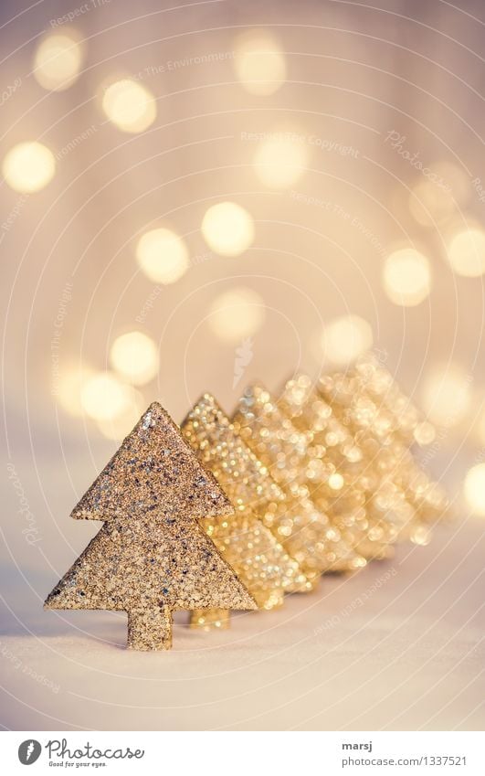 Just kitschy? Feasts & Celebrations Christmas & Advent Decoration Illuminate Sharp-edged Kitsch Gold Happiness Anticipation Trade Christmas tree