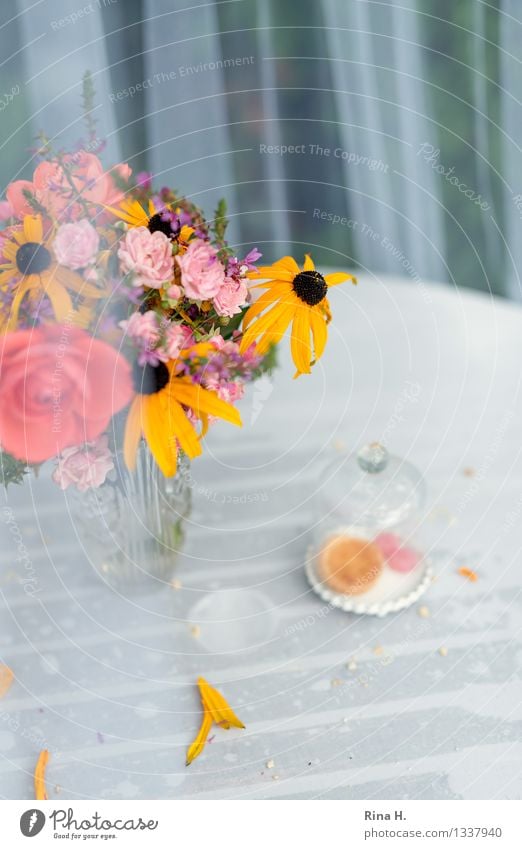 Rest of the festival Feasts & Celebrations Blossoming Faded Authentic Wet Bouquet Tablecloth Baked goods Remainder Insect repellent Vase Colour photo