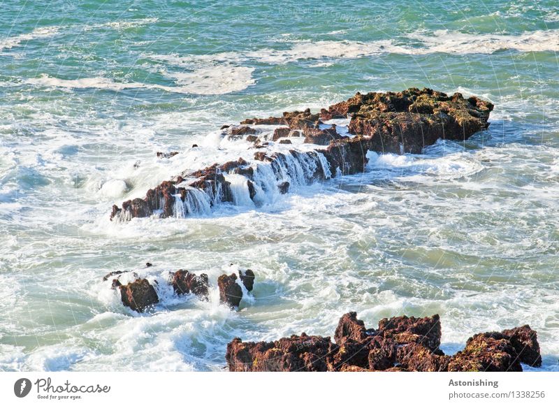 high tide Environment Nature Landscape Water Drops of water Summer Weather Beautiful weather Warmth Rock Waves Coast Bay Ocean Atlantic Ocean Island Essaouira