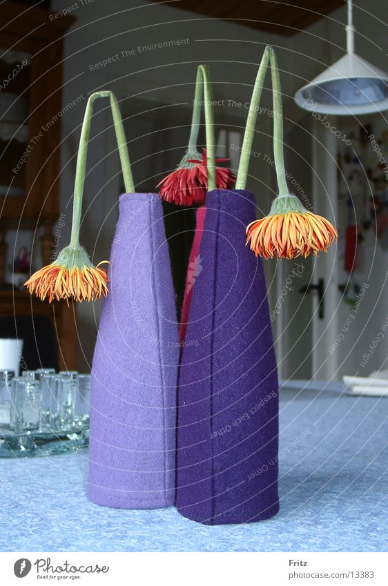 beck motif-21 Flower Vase Aster Living or residing Limp
