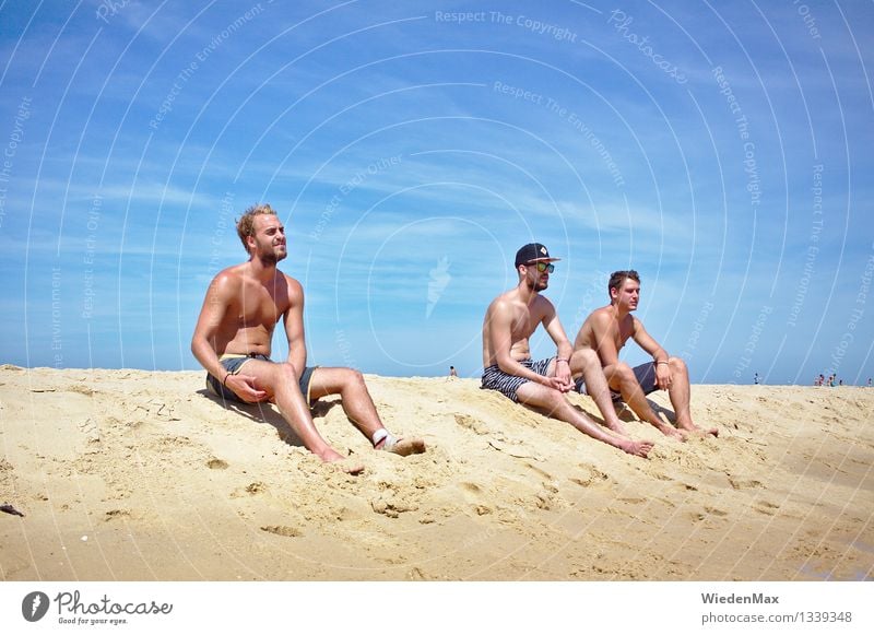 3 guys on the beach Summer Summer vacation Sun Sunbathing Beach Masculine Friendship Human being 18 - 30 years Youth (Young adults) Adults Beautiful weather