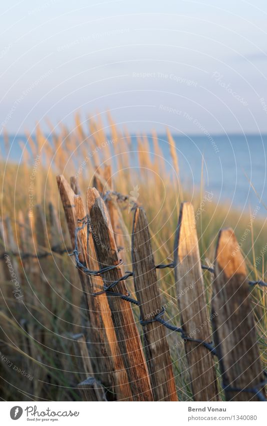 fencing Vacation & Travel Tourism Freedom Camping Summer Summer vacation Beach Ocean Island Blue Brown Yellow Fence Wood Simple Wire Dune Sand Beach dune