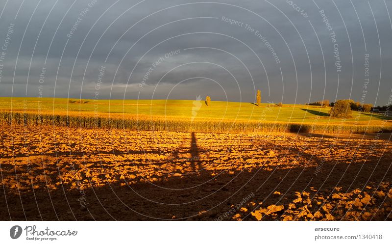 Autumn by bike Cycling Bicycle Landscape Earth Clouds Sun Sunrise Sunset Sunlight Beautiful weather Field Discover Looking Infinity Gold Gray Orange Moody Life