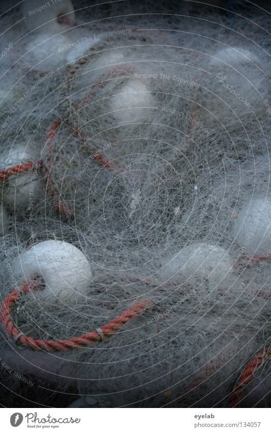 Spun breakfast eggs Spider Grating Buoy Nylon Fishery Fishing net Fishing (Angle) Work and employment Ocean Lake Seafood Nutrition White Flotsam and jetsam