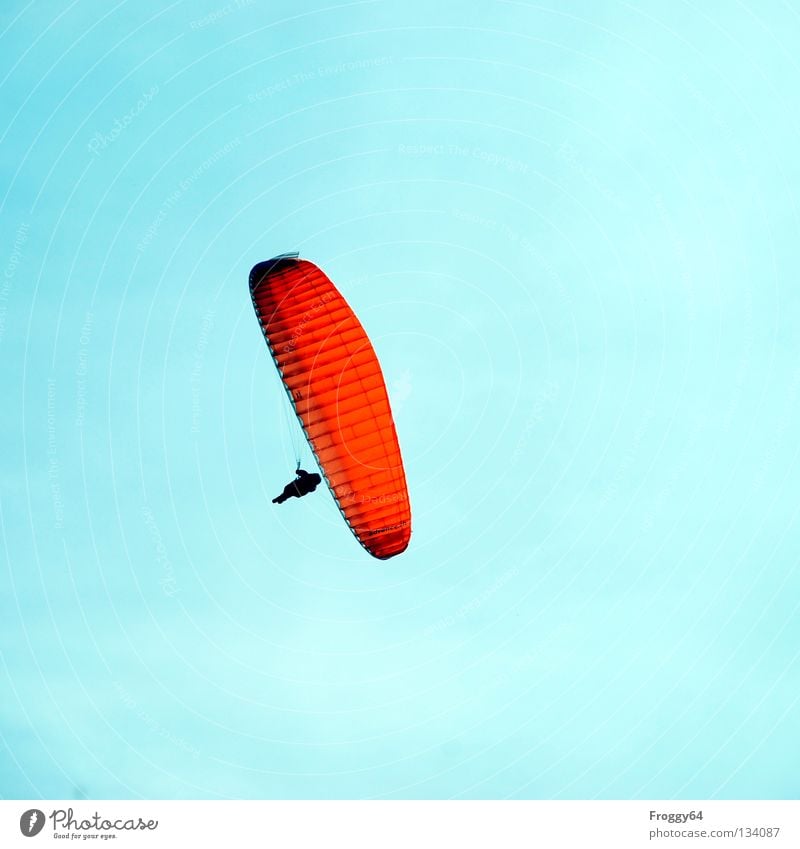 high up Paraglider Air Clouds Pilot Black Schauinsland Bird Joy Leisure and hobbies Extreme sports Flying Aviation Sky Blue Orange Wind Weather Mountain Sun