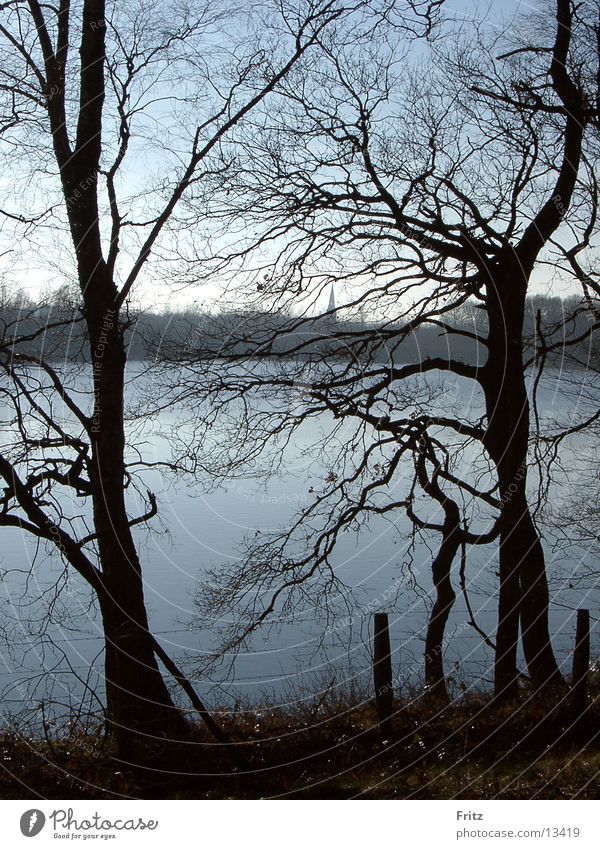 beck-motiv-28 Autumn Tree Lake Water