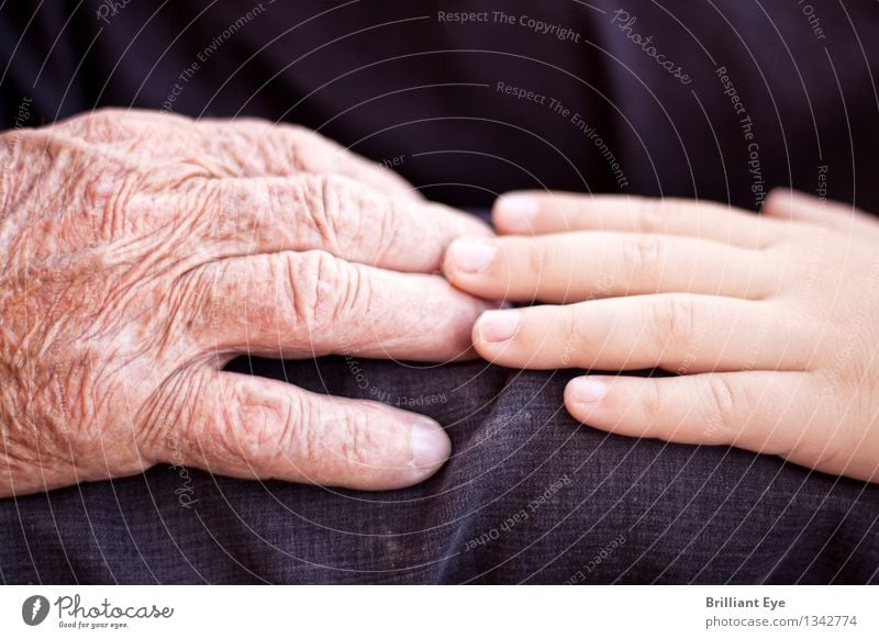 Touch. Human being Masculine Boy (child) Grandfather Infancy Senior citizen Hand 2 Old Authentic Positive Warmth Emotions Joie de vivre (Vitality) Optimism