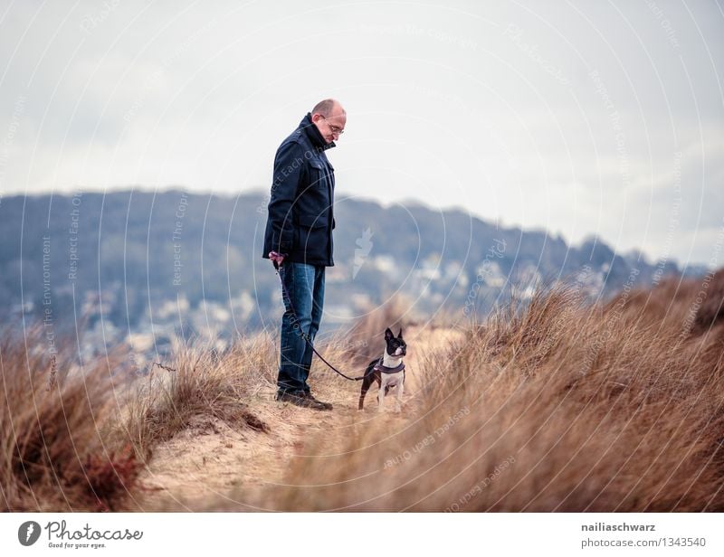 Man with Boston Terrier Joy Playing Vacation & Travel Beach Ocean Adults 1 Human being Nature Landscape Sand Bad weather Dog Animal Observe Looking Wait