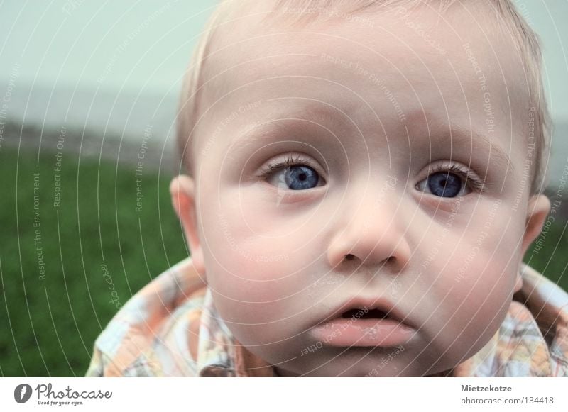 "What's daaas???" Baby Child Curiosity Portrait photograph Science & Research Toddler Communicate Discover blue eyes first contact