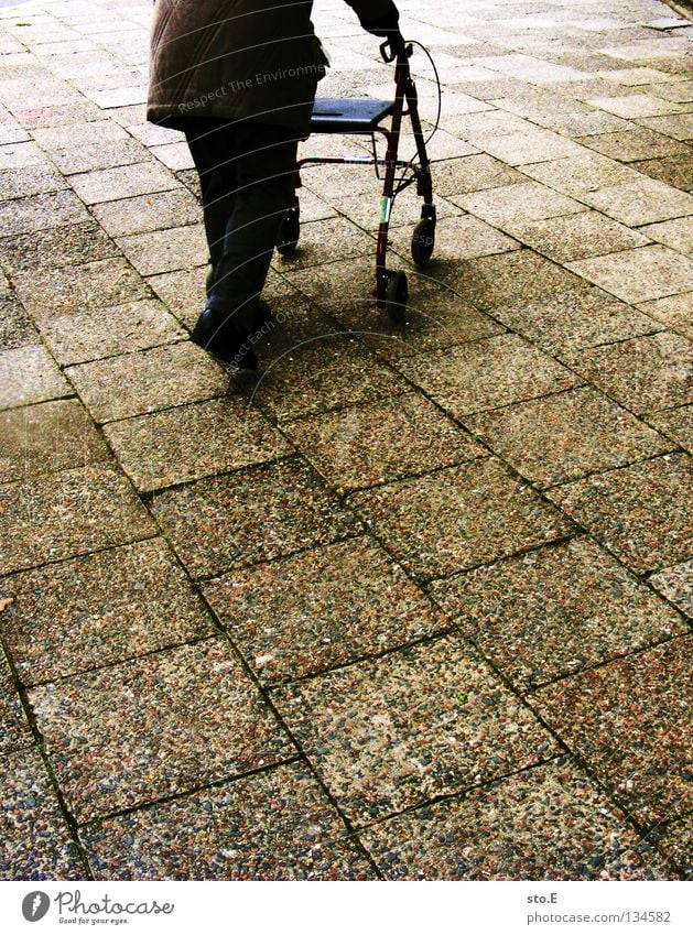 on the straight Carriage Prop Support Going Woman Walking aid Senior citizen Diagonal Parallel Stone slab Paving tiles Basket Traffic infrastructure Transience