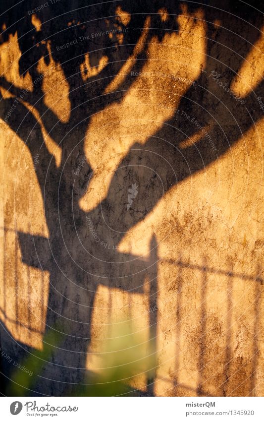 The Past. Art Work of art Esthetic Tree Tree trunk Wall (building) Shadow Sunset Perspective Park Nature Town Shadow play Dark side Mediterranean Colour photo