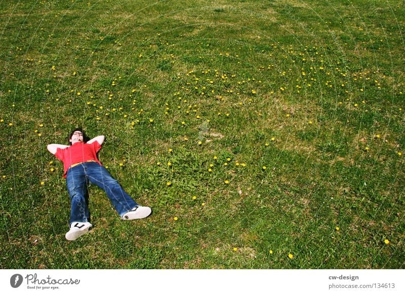 COME ON AND CHILL WITH ME II Relaxation Shadow Green Photographer Take a photo Red Sleep Grass Blade of grass Meadow Dandelion Fellow Man Masculine Flower