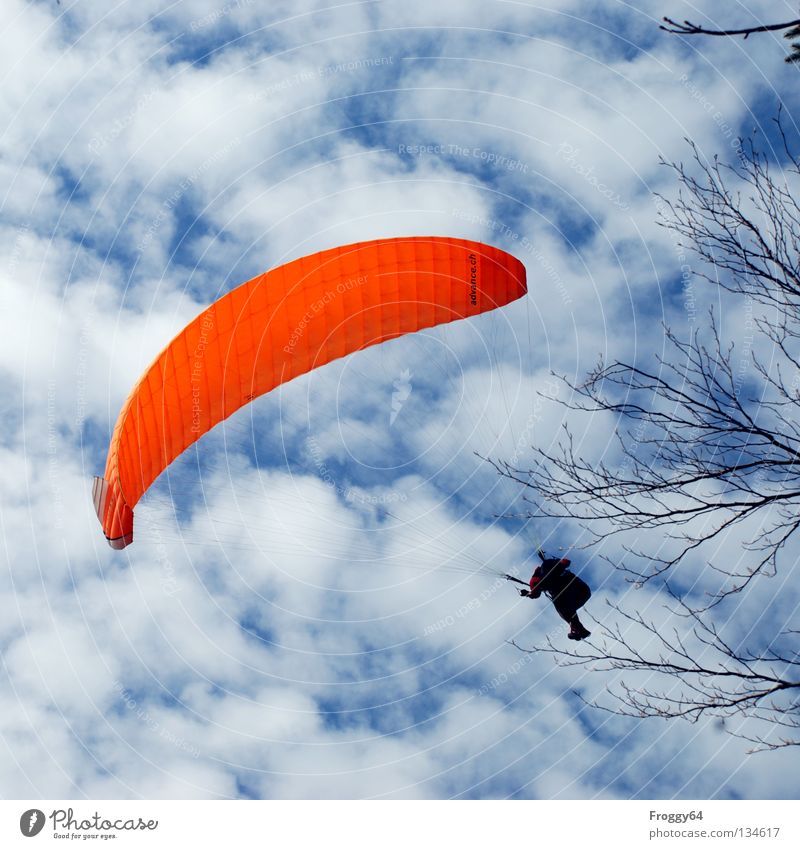 Scratch the curve.... Paraglider Air Clouds Pilot Black Schauinsland Bird Joy Sports Playing Extreme sports Flying Aviation Sky Blue Orange Wind Weather