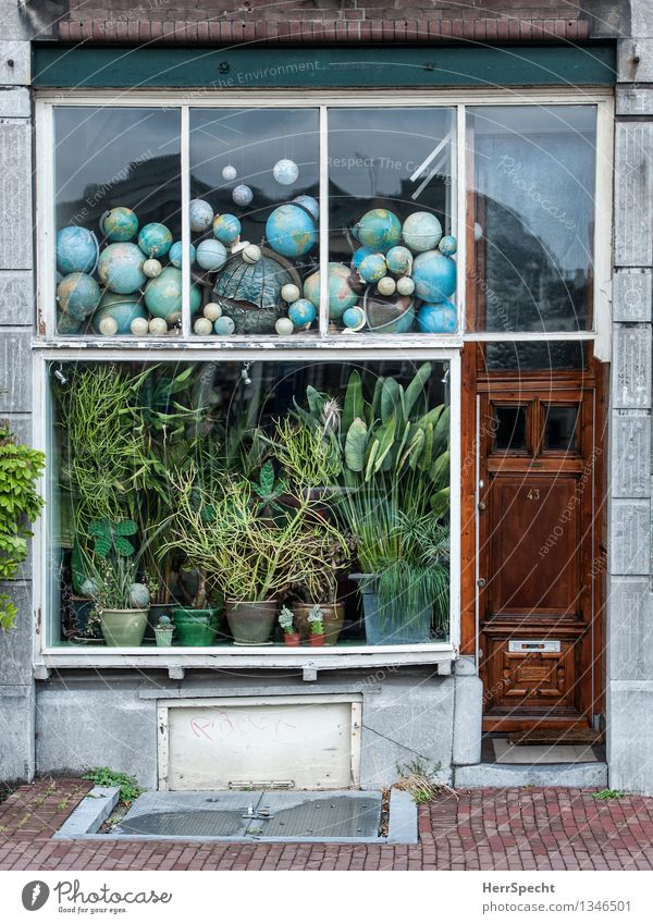 globalization Amsterdam Town House (Residential Structure) Building Window Door Decoration Collection Collector's item Funny Nerdy Retro Trashy Globe Pot plant