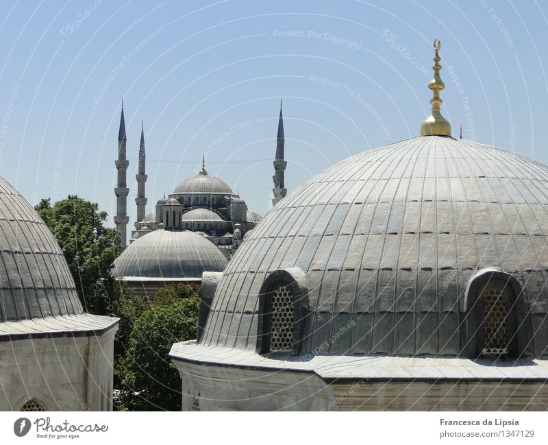 dome worlds Far-off places Sightseeing City trip Summer Sun Istanbul Turkey Port City Downtown Old town Skyline Deserted Architecture Mosque Tomb Roof