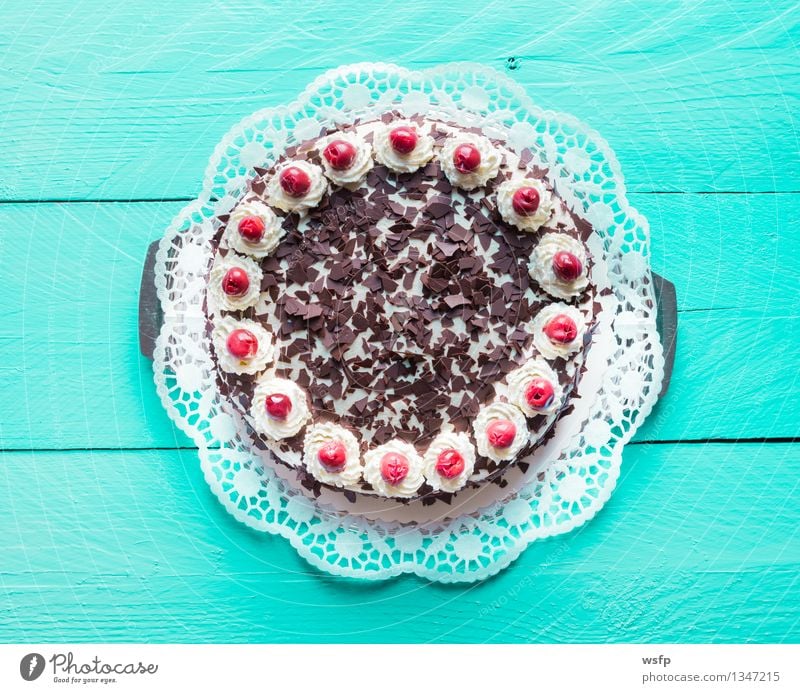 Black Forest cherry cake on turquoise wood Cake Dessert Wood Turquoise Black forest gateau Gateau Cream gateau Cherry foam pastries cake top Baked goods