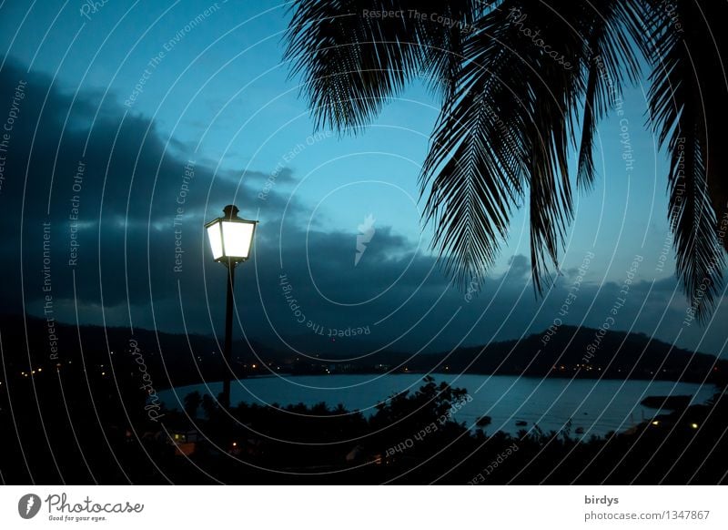 Baracoa, Cuba at night Vacation & Travel Summer vacation Landscape Clouds Night sky Palm frond Mountain Ocean Caribbean Sea Bay Illuminate Esthetic Exotic Tall