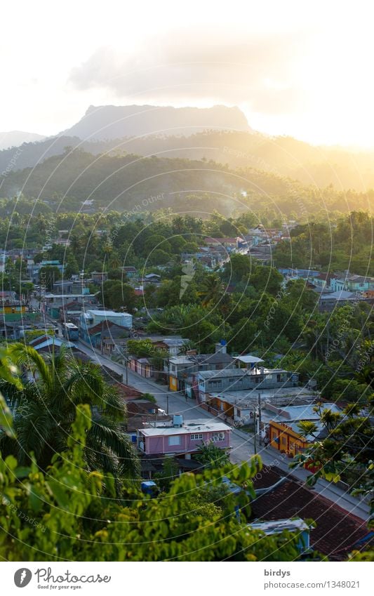 Table Mountain el yunque, Cuba Vacation & Travel Tourism Summer vacation Nature Sunlight Tree Small Town Street Illuminate Esthetic Exotic Positive Idyll Life