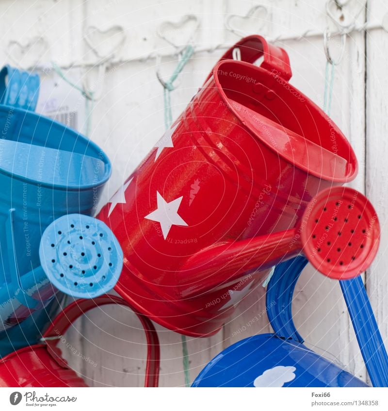 watering cans Decoration Collection Watering can Wood Metal Hang Authentic Glittering Retro Trashy Blue Red White Spring fever Enthusiasm Creativity Culture Art