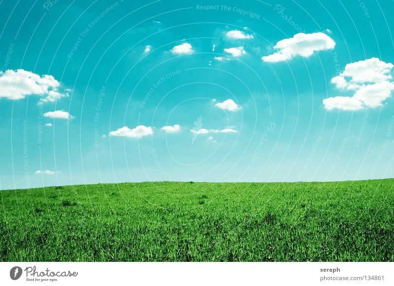 Easiness Background picture Meadow Field Sky Clouds Lawn Nature Grass Landscape Flower meadow Freedom Far-off places Agriculture Horizon Minimalistic Natural