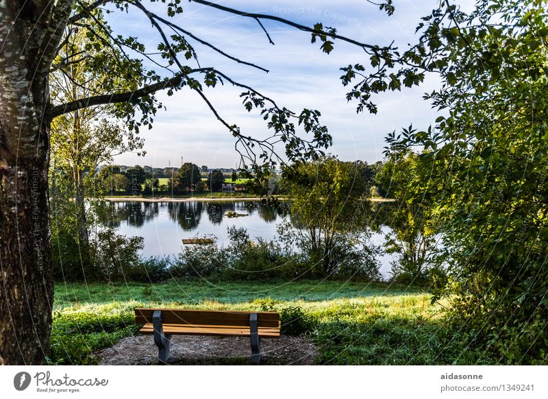 landscape in Dachau Landscape Summer Lakeside Moody Serene Contentment Bavaria Bench Forest Colour photo Exterior shot Deserted Day