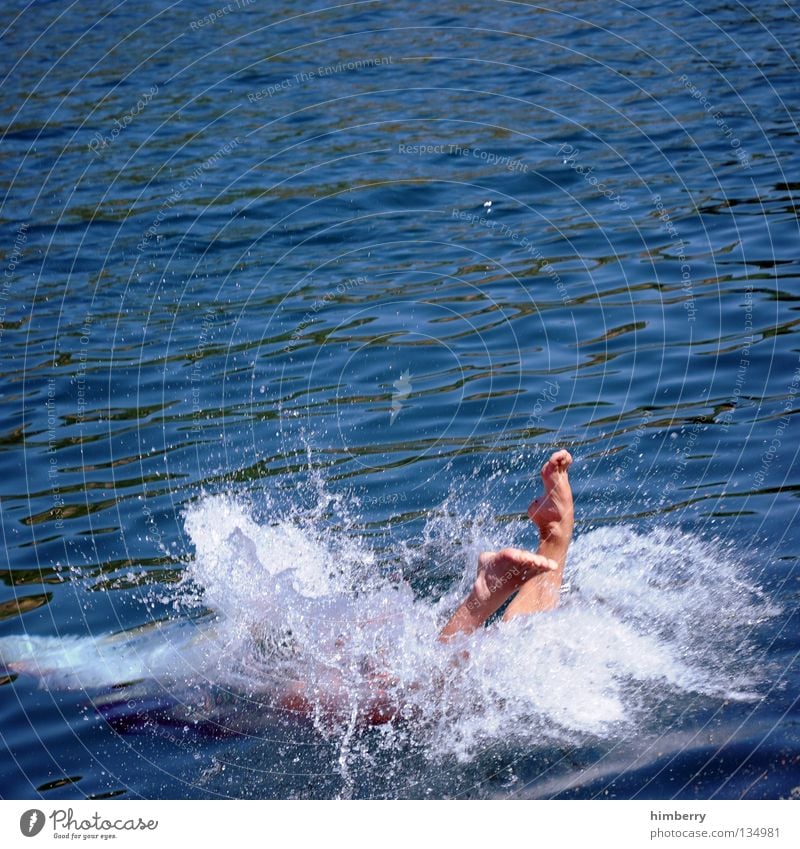 deep blue Swimmer (professional sportsman) Man Dive Diver Human being Wet Ocean Lake Jump Headfirst dive Vacation & Travel Sports Refreshment Summer Aquatics